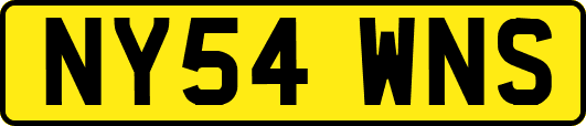 NY54WNS