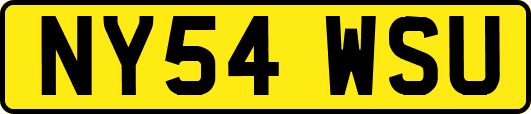 NY54WSU