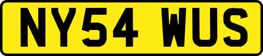 NY54WUS