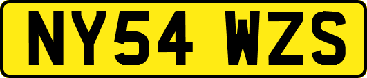 NY54WZS