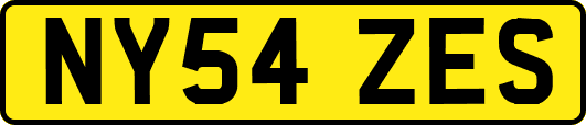NY54ZES