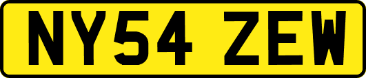 NY54ZEW