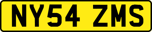 NY54ZMS