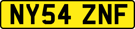 NY54ZNF