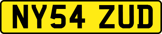 NY54ZUD