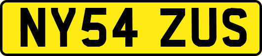 NY54ZUS