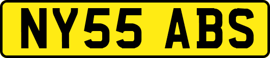 NY55ABS