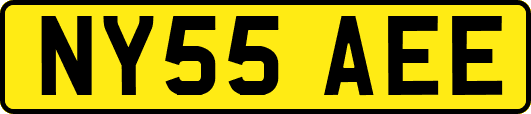 NY55AEE