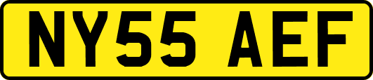 NY55AEF