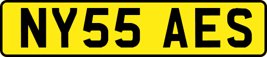 NY55AES