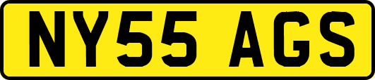 NY55AGS