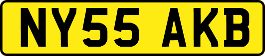 NY55AKB