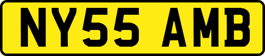NY55AMB