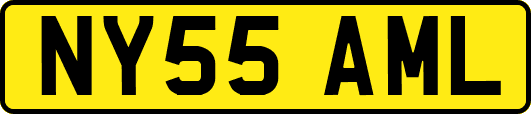 NY55AML