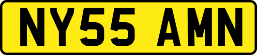 NY55AMN