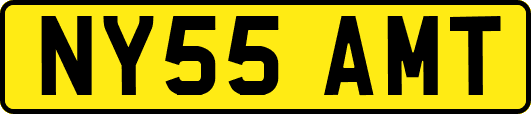 NY55AMT