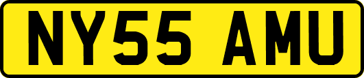 NY55AMU