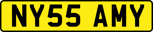 NY55AMY