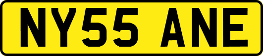 NY55ANE
