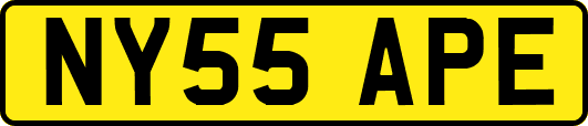 NY55APE