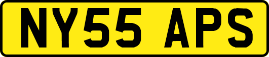 NY55APS