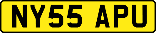 NY55APU