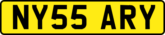NY55ARY