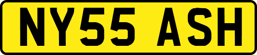NY55ASH