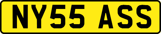 NY55ASS