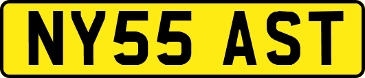 NY55AST