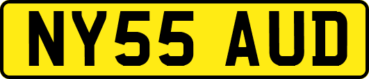 NY55AUD