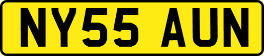 NY55AUN