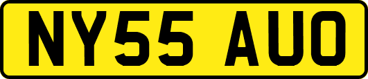 NY55AUO