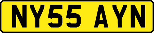 NY55AYN