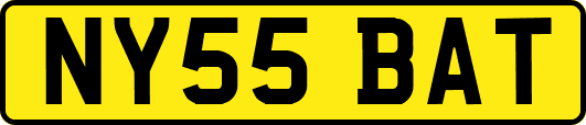 NY55BAT