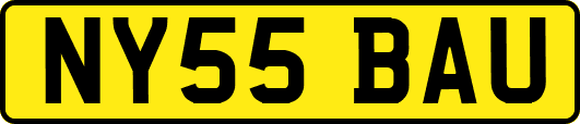 NY55BAU