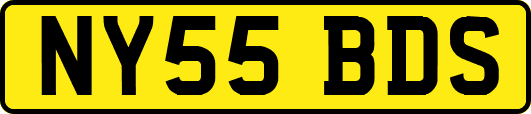 NY55BDS