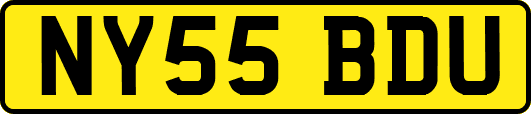 NY55BDU