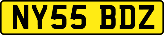 NY55BDZ