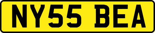 NY55BEA