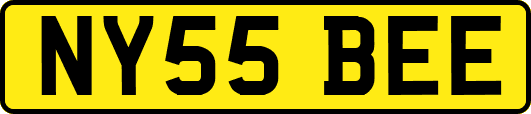 NY55BEE