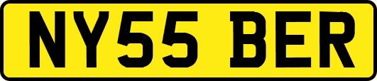NY55BER