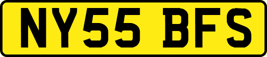 NY55BFS
