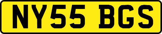 NY55BGS