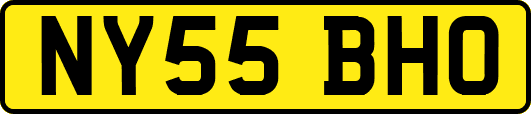 NY55BHO