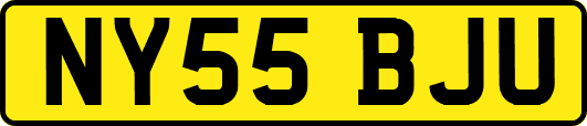NY55BJU