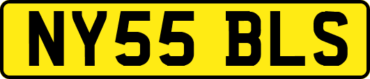 NY55BLS