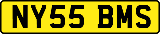 NY55BMS