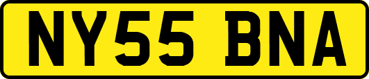 NY55BNA