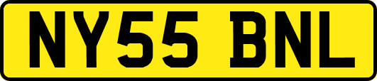 NY55BNL